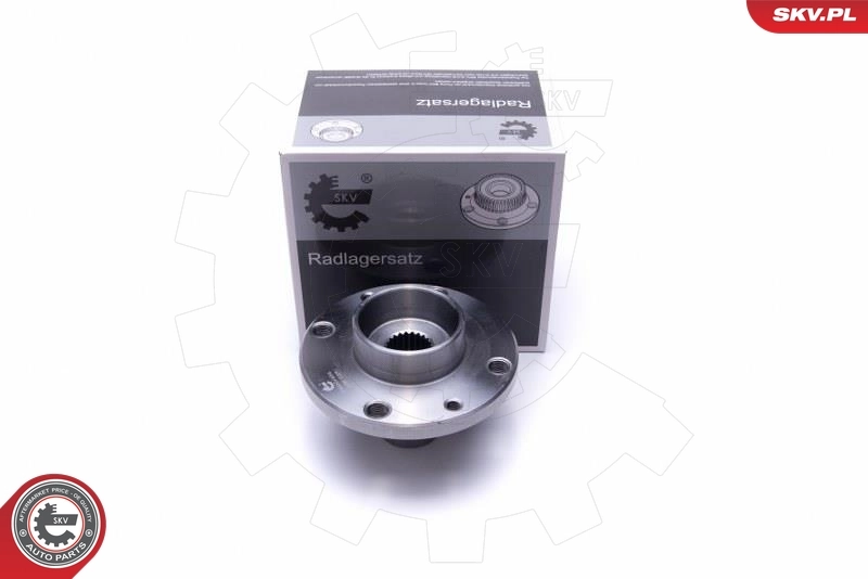 Wheel Bearing Kit